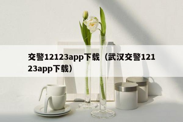 交警12123app下载（武汉交警12123app下载）