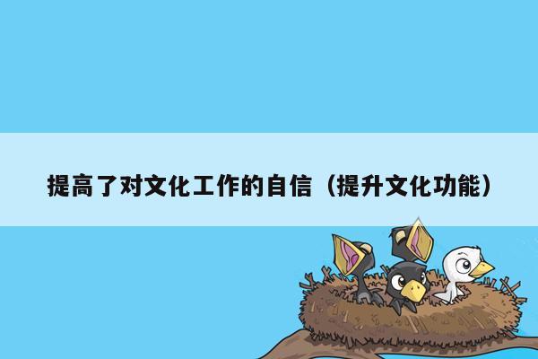 提高了对文化工作的自信（提升文化功能）