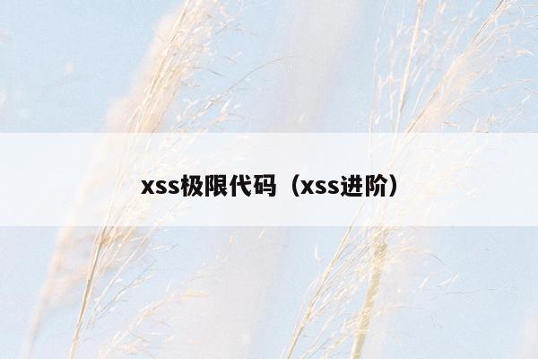 xss极限代码（xss进阶）