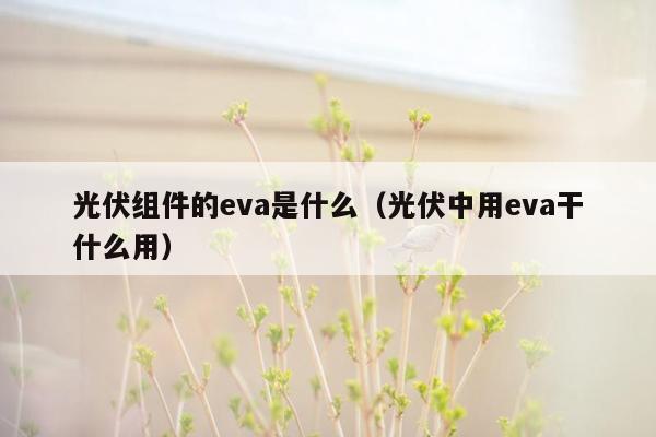 光伏组件的eva是什么（光伏中用eva干什么用）