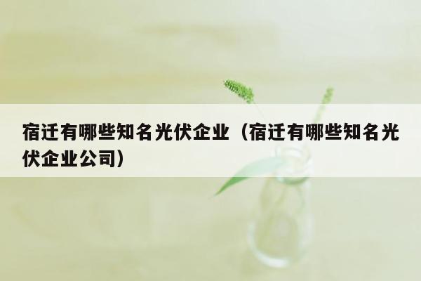 宿迁有哪些知名光伏企业（宿迁有哪些知名光伏企业公司）