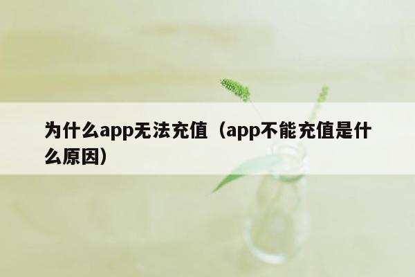 为什么app无法充值（app不能充值是什么原因）