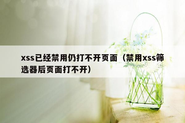 xss已经禁用仍打不开页面（禁用xss筛选器后页面打不开）