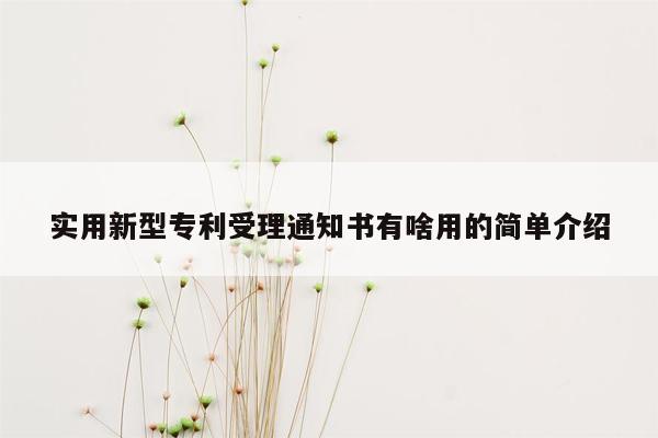 实用新型专利受理通知书有啥用的简单介绍