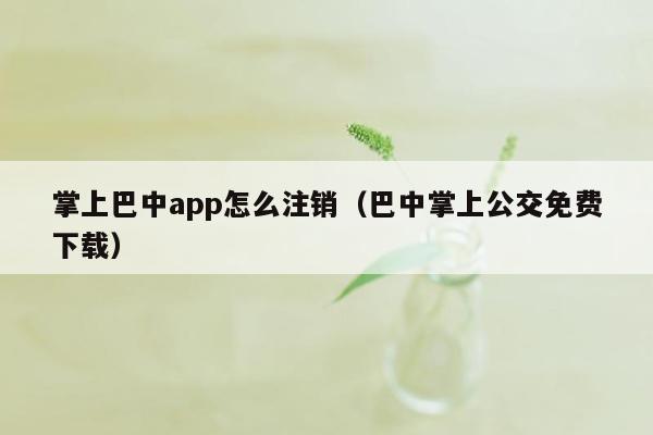 掌上巴中app怎么注销（巴中掌上公交免费下载）