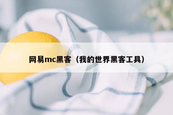 网易mc黑客（我的世界黑客工具）