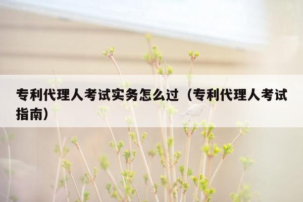 专利代理人考试实务怎么过（专利代理人考试指南）