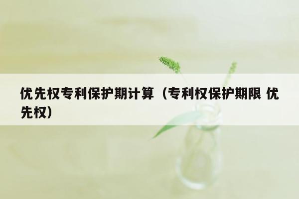 优先权专利保护期计算（专利权保护期限 优先权）