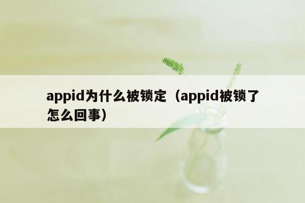 appid为什么被锁定（appid被锁了怎么回事）