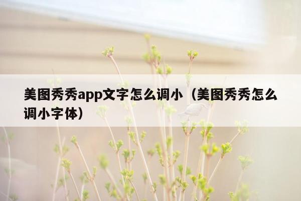 美图秀秀app文字怎么调小（美图秀秀怎么调小字体）