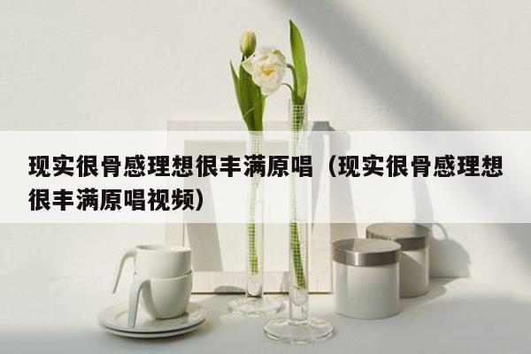 现实很骨感理想很丰满原唱（现实很骨感理想很丰满原唱视频）