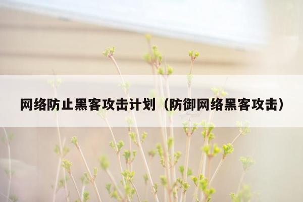 网络防止黑客攻击计划（防御网络黑客攻击）