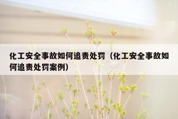 化工安全事故如何追责处罚（化工安全事故如何追责处罚案例）