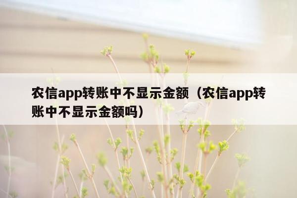 农信app转账中不显示金额（农信app转账中不显示金额吗）