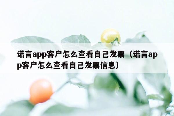 诺言app客户怎么查看自己发票（诺言app客户怎么查看自己发票信息）