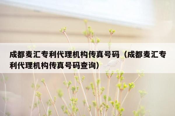 成都麦汇专利代理机构传真号码（成都麦汇专利代理机构传真号码查询）