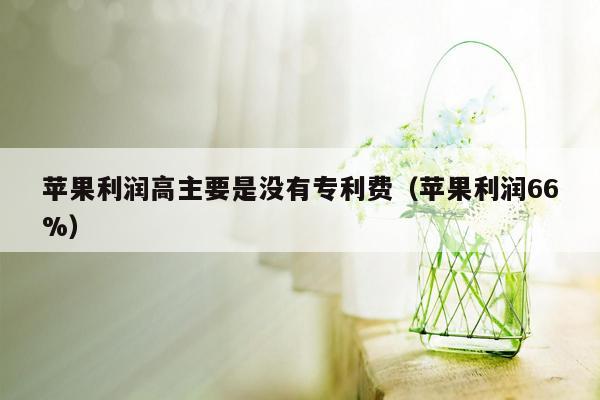 苹果利润高主要是没有专利费（苹果利润66%）