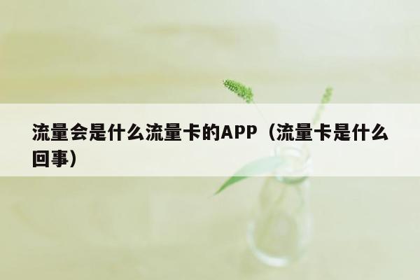 流量会是什么流量卡的APP（流量卡是什么回事）