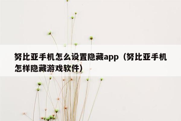 努比亚手机怎么设置隐藏app（努比亚手机怎样隐藏游戏软件）