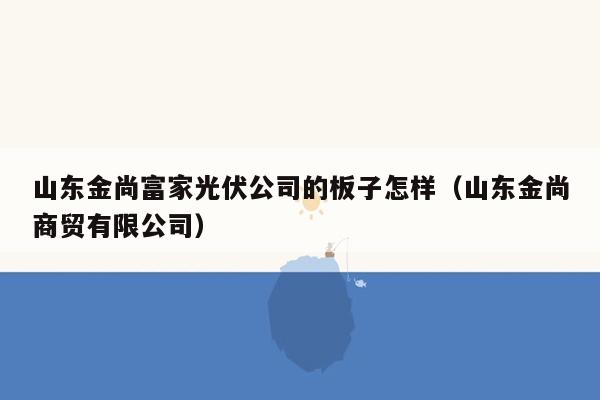 山东金尚富家光伏公司的板子怎样（山东金尚商贸有限公司）