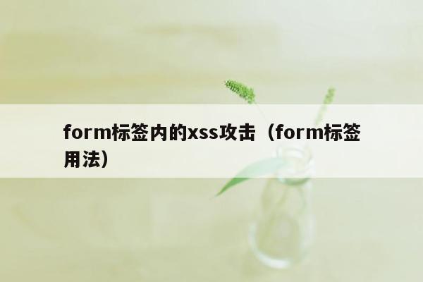 form标签内的xss攻击（form标签用法）