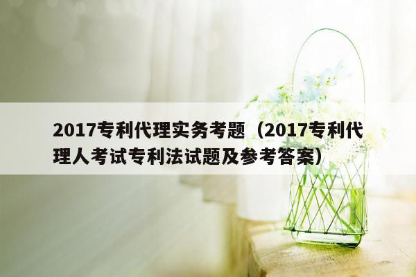 2017专利代理实务考题（2017专利代理人考试专利法试题及参考答案）