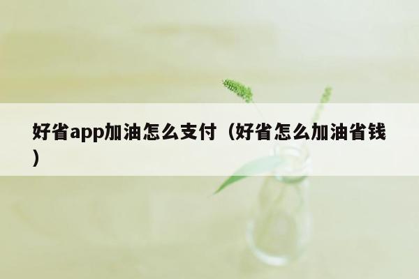 好省app加油怎么支付（好省怎么加油省钱）