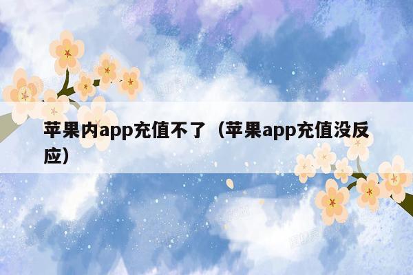 苹果内app充值不了（苹果app充值没反应）