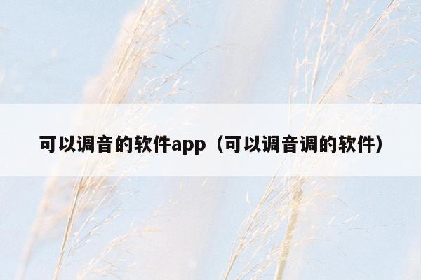 可以调音的软件app（可以调音调的软件）