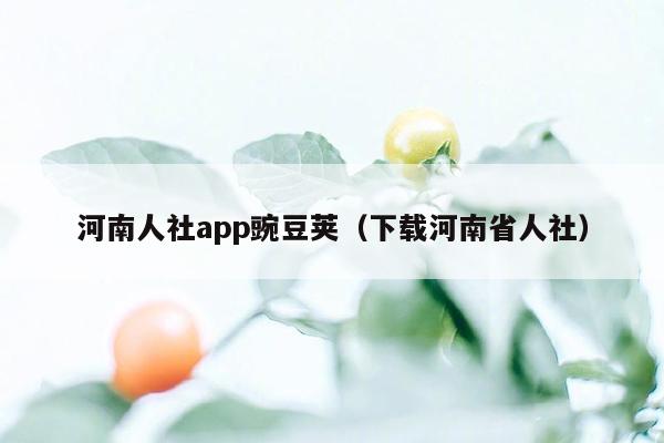 河南人社app豌豆荚（下载河南省人社）