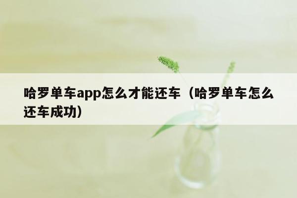 哈罗单车app怎么才能还车（哈罗单车怎么还车成功）