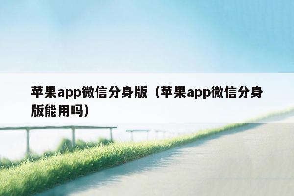 苹果app微信分身版（苹果app微信分身版能用吗）