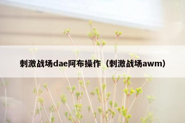 刺激战场dae阿布操作（刺激战场awm）