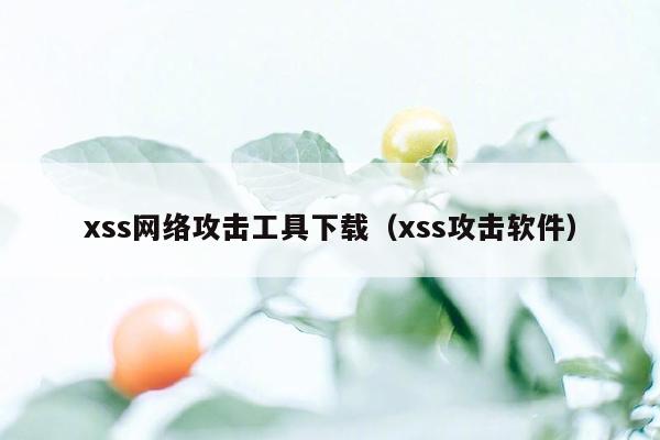 xss网络攻击工具下载（xss攻击软件）