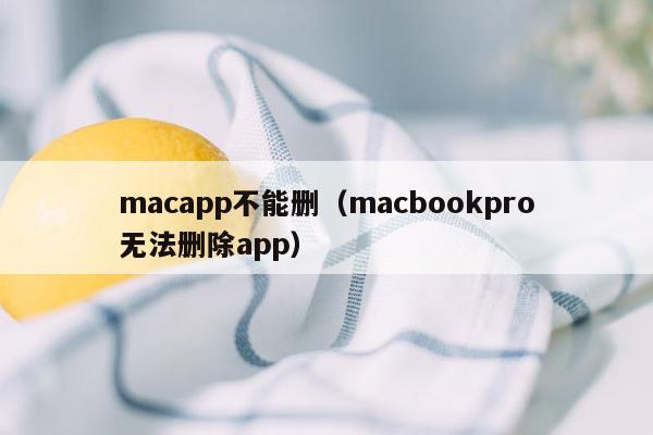 macapp不能删（macbookpro无法删除app）