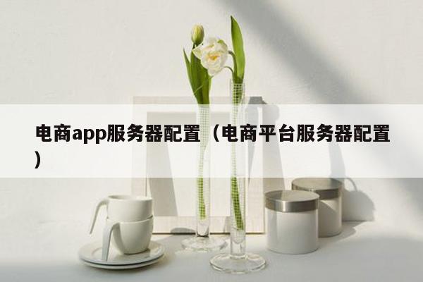 电商app服务器配置（电商平台服务器配置）