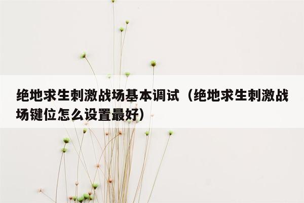 绝地求生刺激战场基本调试（绝地求生刺激战场键位怎么设置最好）