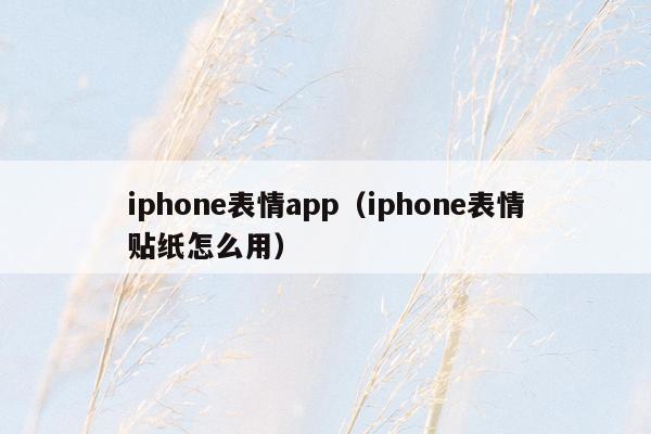 iphone表情app（iphone表情贴纸怎么用）