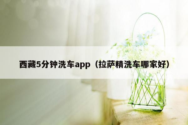 西藏5分钟洗车app（拉萨精洗车哪家好）