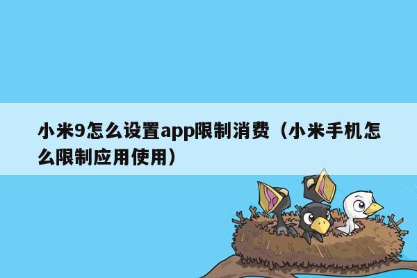 小米9怎么设置app限制消费（小米手机怎么限制应用使用）