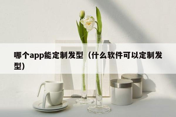 哪个app能定制发型（什么软件可以定制发型）