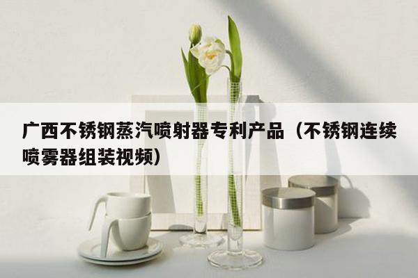 广西不锈钢蒸汽喷射器专利产品（不锈钢连续喷雾器组装视频）