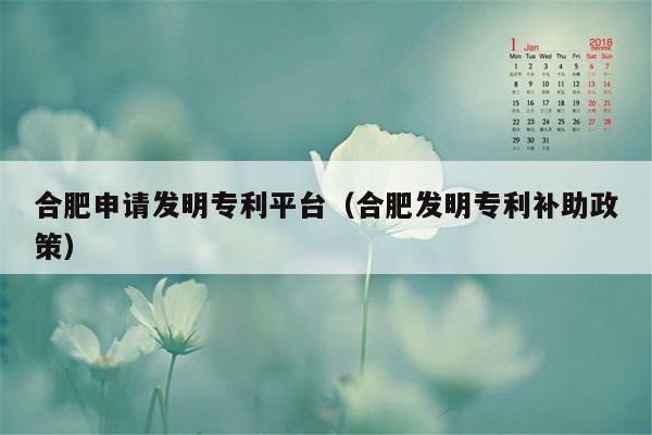 合肥申请发明专利平台（合肥发明专利补助政策）