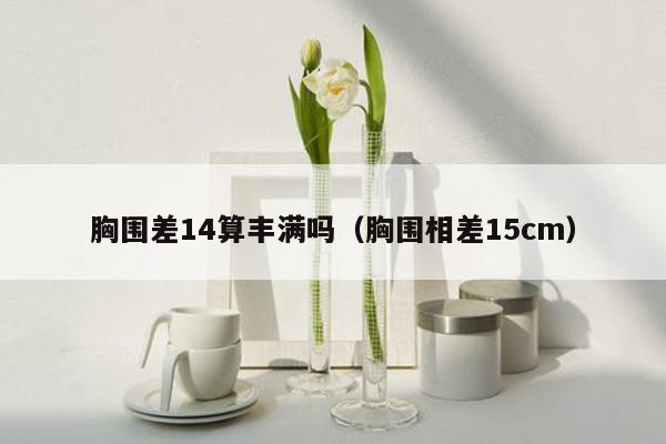 胸围差14算丰满吗（胸围相差15cm）