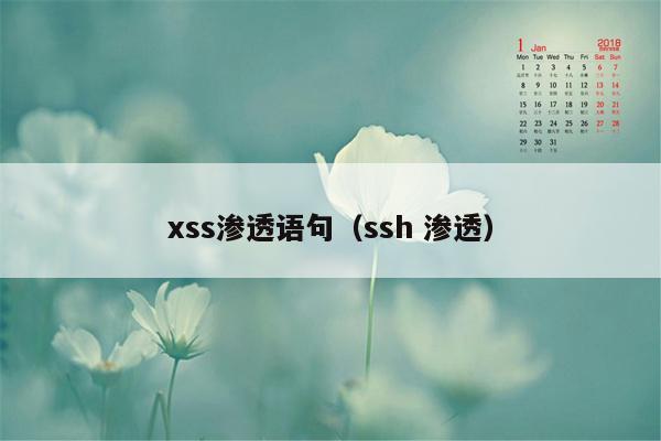 xss渗透语句（ssh 渗透）