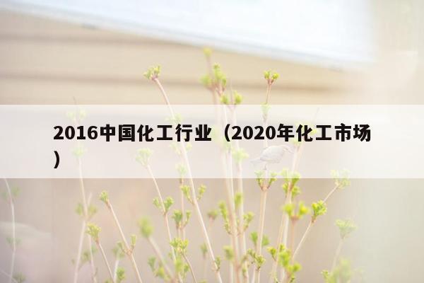 2016中国化工行业（2020年化工市场）