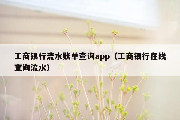 工商银行流水账单查询app（工商银行在线查询流水）