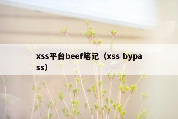 xss平台beef笔记（xss bypass）