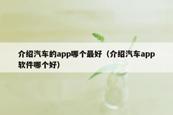 介绍汽车的app哪个最好（介绍汽车app软件哪个好）