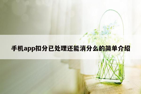 手机app扣分已处理还能消分么的简单介绍